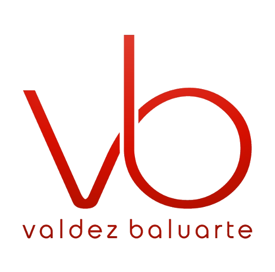 VB Logo